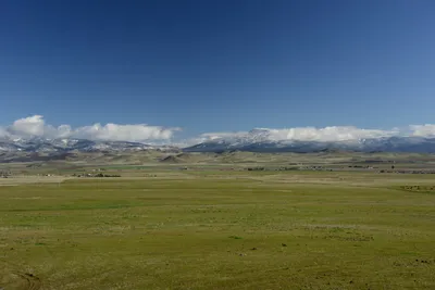 DSC_1054 (Large).JPG